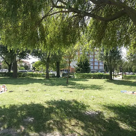 Hanga Apartament *